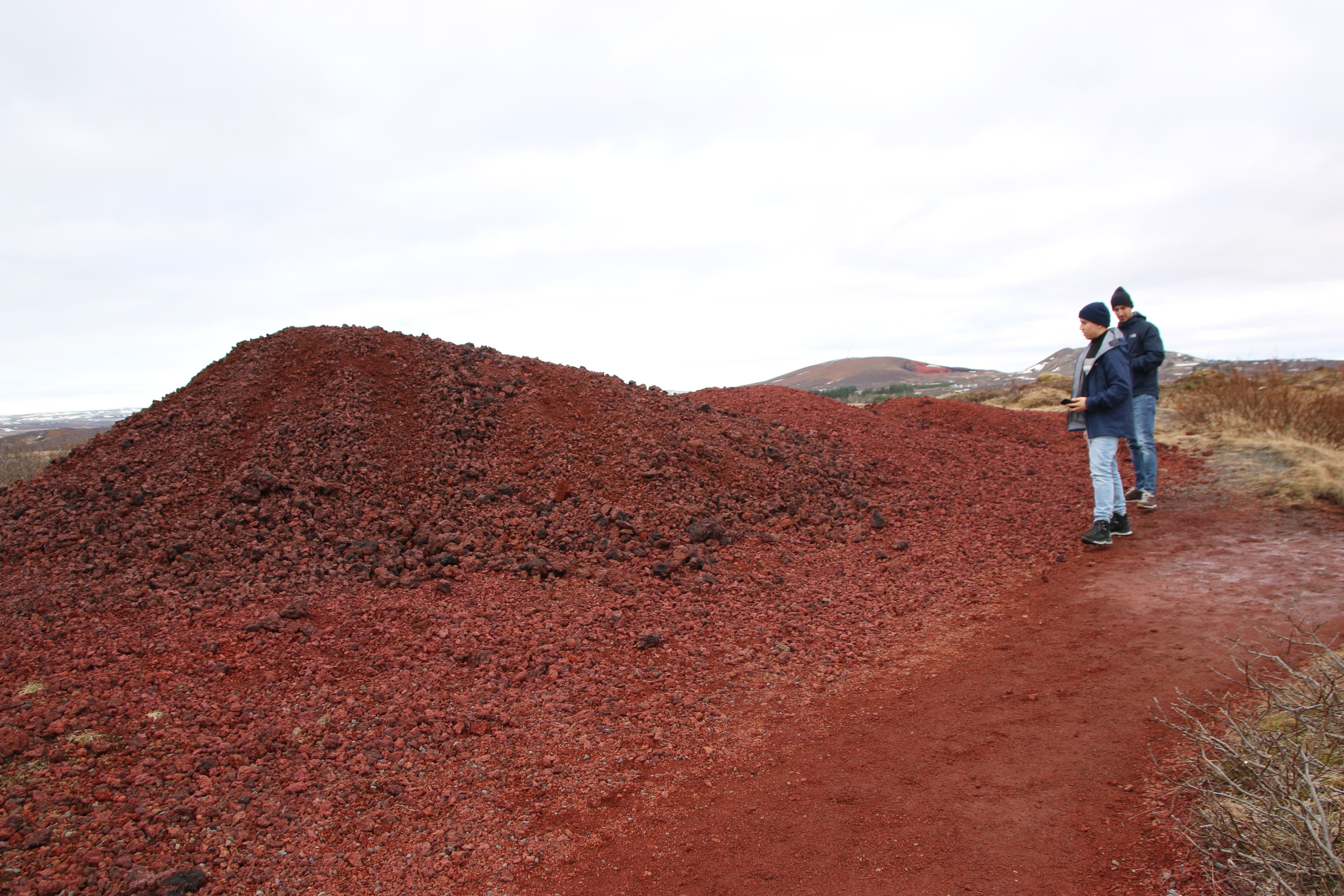 The Iceland Trip